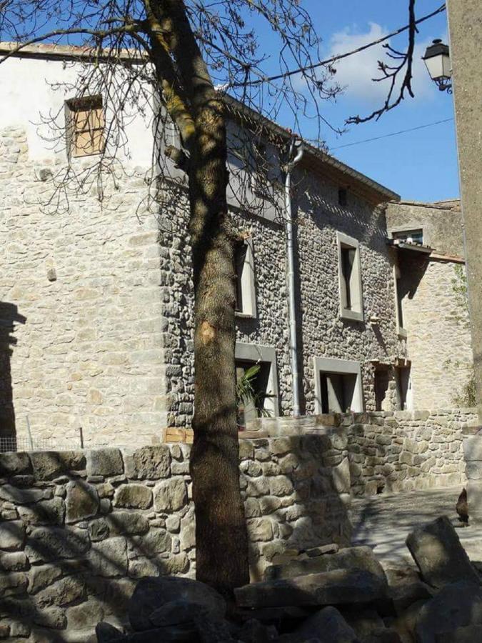 Villa Misanid Ecrin De Verdure A 15Mm De La Cite De Carcassonne Mas-des-Cours Ngoại thất bức ảnh