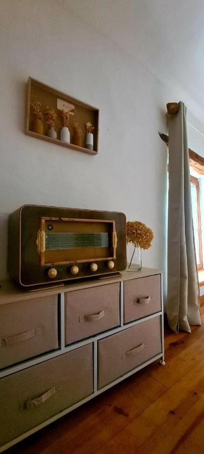 Villa Misanid Ecrin De Verdure A 15Mm De La Cite De Carcassonne Mas-des-Cours Ngoại thất bức ảnh