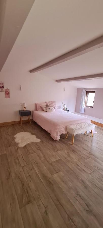 Villa Misanid Ecrin De Verdure A 15Mm De La Cite De Carcassonne Mas-des-Cours Ngoại thất bức ảnh
